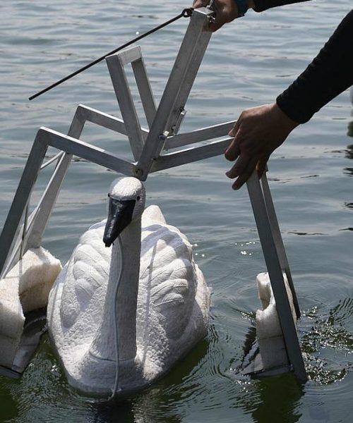 Singapore’s robotic swans testing water quality | by Robert C. Brears ...