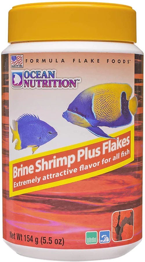 How To Feed Frozen Brine Shrimp To Your Betta Fish? by KwikPet Medium