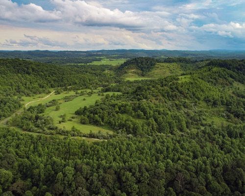 Could wastelands become our next national parks?