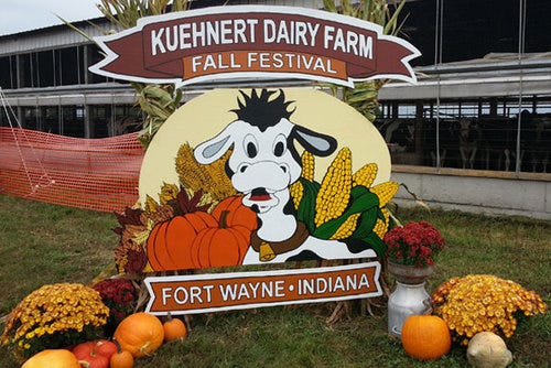 Kuehnert Dairy Farm And Annual Fall Festival | by Ajay Rai | Medium