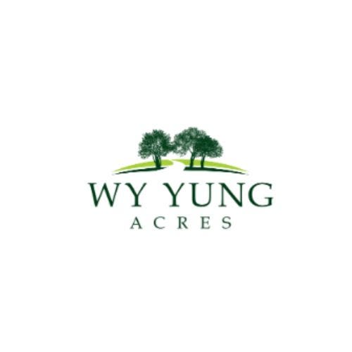 land for sale Gippsland vic Wy Yung Acres Medium