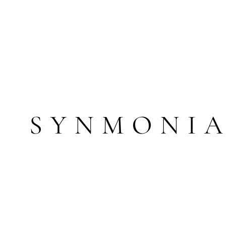 Synmonia_Big5から人間の心の存在の地平まで