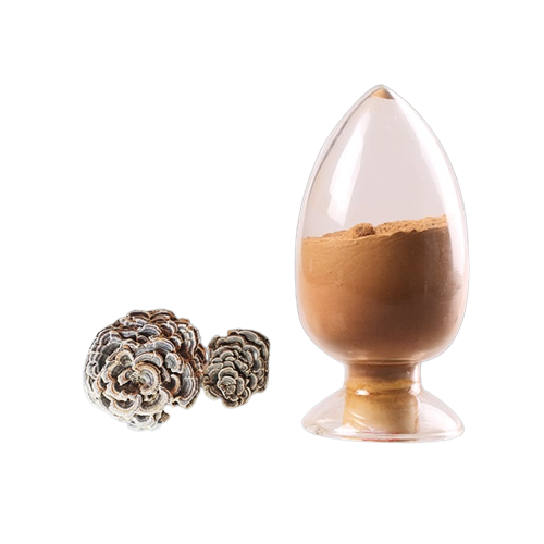 Maitake Mushroom Extract — Gaining Popularity Due to Its Medicinal Properties by Biosan