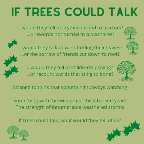 creative writing what if trees could walk