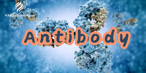 KMD Bioscience| A New Study Reveals Key Insights on Antibody Expression Trends