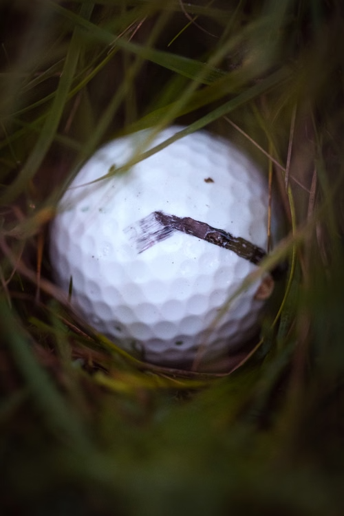 The U.S. Open Isn’t Won. It’s Survived.