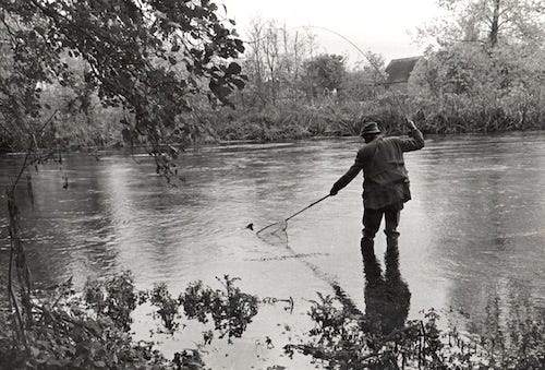 Ted Hughes, Seamus Heaney and the literary influence of Fly Fishing in  Ireland, by Editor Ireland on the Fly, Ireland on the Fly