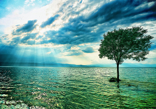 Standing Alone, Trpejca, Macedonia