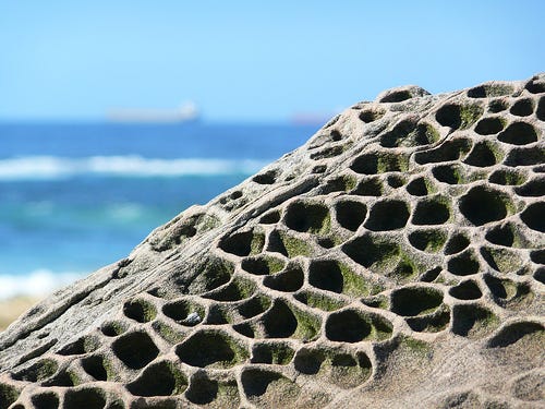 Honeycomb Weathering Logic. Honeycomb weathering, also known as… | by ...