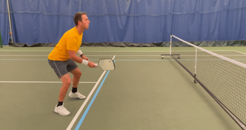 Importance of Dink Pickleball