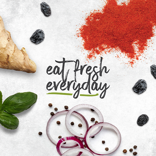 Your GoTo Healthy Vegetarian Meal Delivery Services by Tiffinly Pty