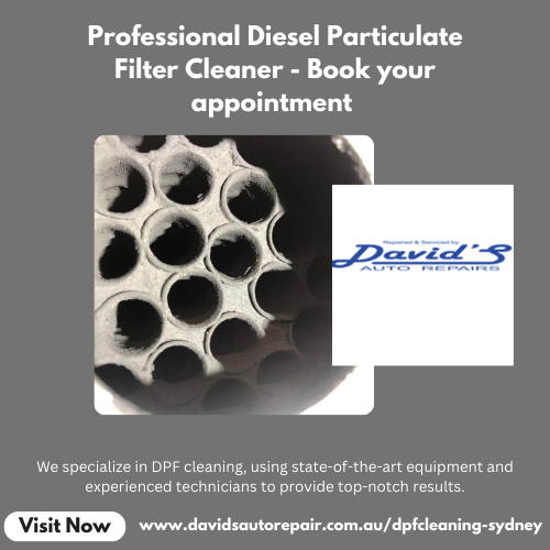 Professional Diesel Particulate Filter Cleaner — Book your appointment