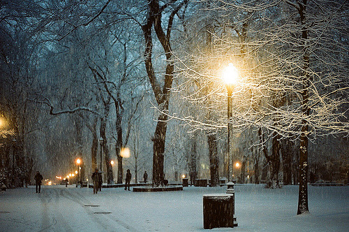 Snowy Night, Portland, Oregon