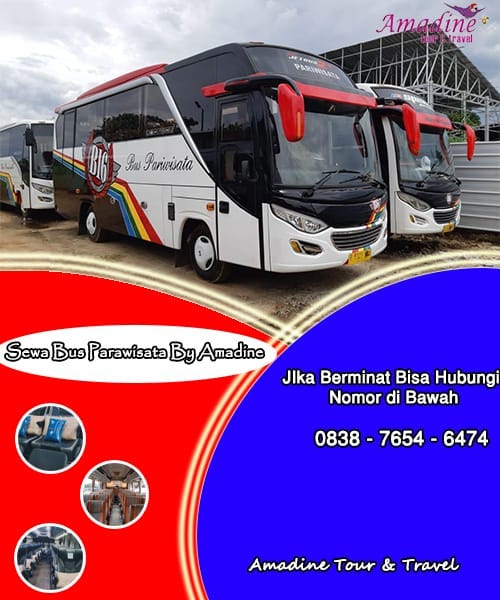 Bus Pariwisata Terbaik Versi Bismania: Perpaduan Kenyamanan, Keamanan, dan Kemewahan