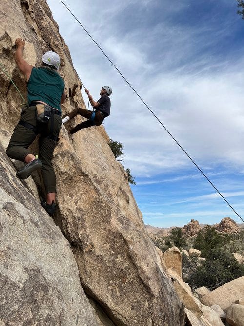 Guided Rock Climbing In Joshua Tree Joshua Tree Lizard by Joshua