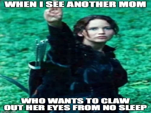 Hunger games meme