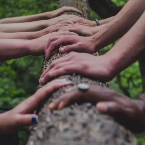 Stevens Point Tree Doctors - Steventreedoctorsusa - Medium