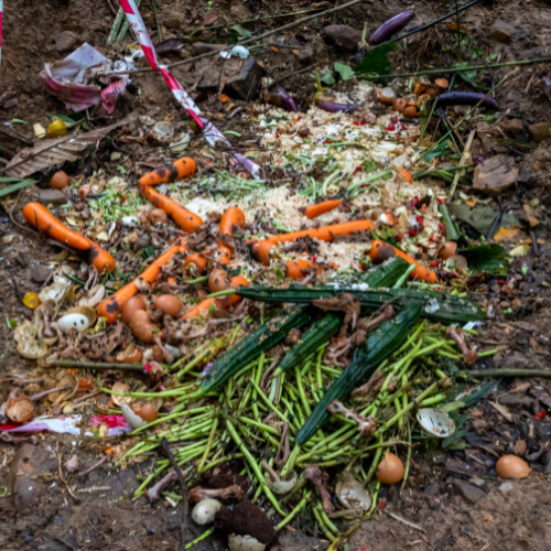 How can composting help protect the environment? | by M Sohlihin | Medium