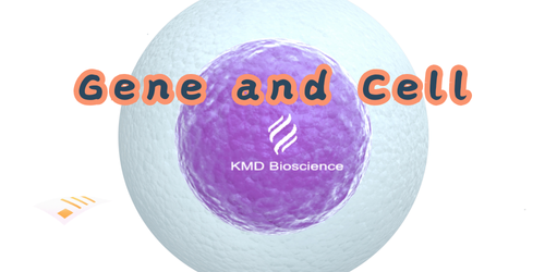 KMD Bioscience-Stable Overexpressed Cell Lines