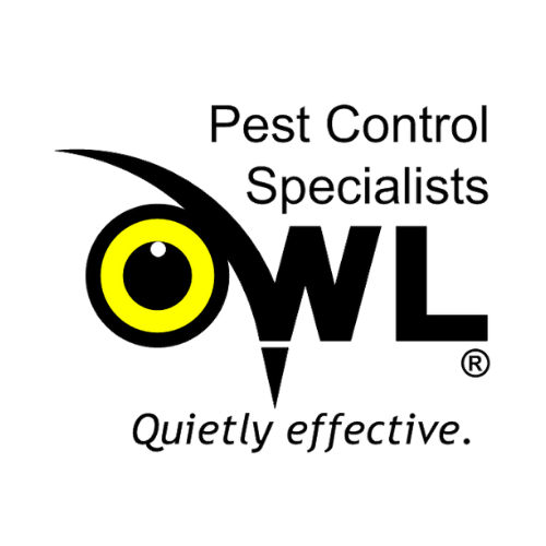 Where to look for best pest control Dublin by Owl Pest Control Medium