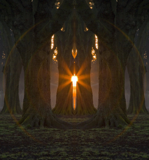 Forest Sun Flare, Cardiff, Wales