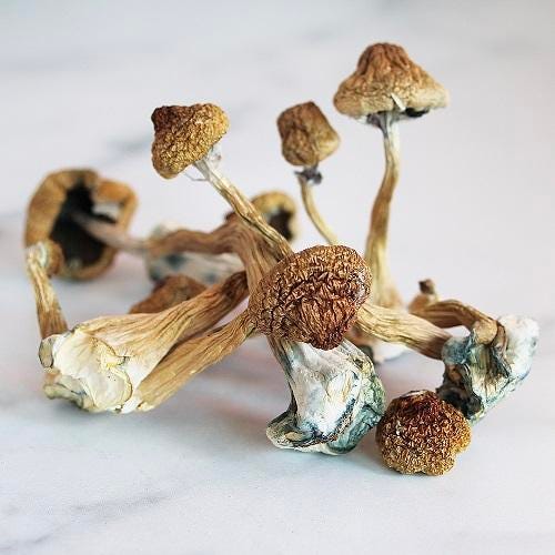 Rollin Budz Trippy Mushroom 5 Dab Mat - (1 Count) — MJ Wholesale
