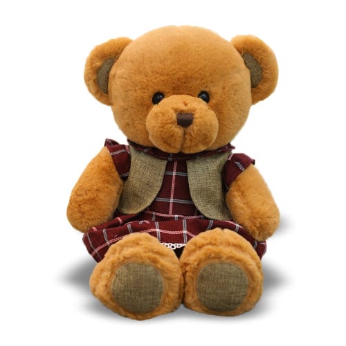 Why Is the Teddy Bear Called Teddy Bear by Richard Lee Medium