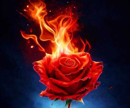 The Manifesto of No: A Valentine’s Day Special