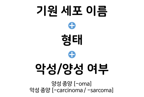 [바이오 군것질] 암 (Cancer) — 上 Overview & Nomenclature