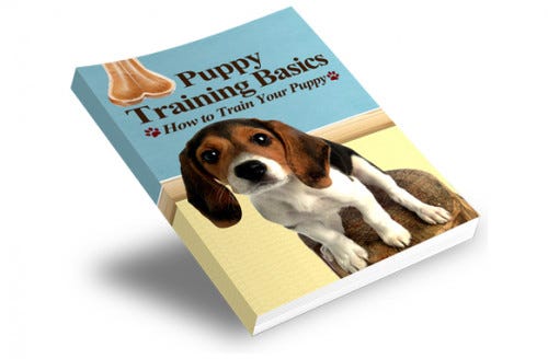 PUPPY TRAINING BASICS BOOK. Title: "The Ultimate Guide to Puppy… | by ucapkatadunia | Medium