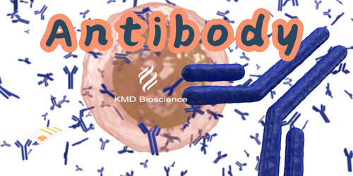 KMD Bioscience-Antibody Affinity Measurement