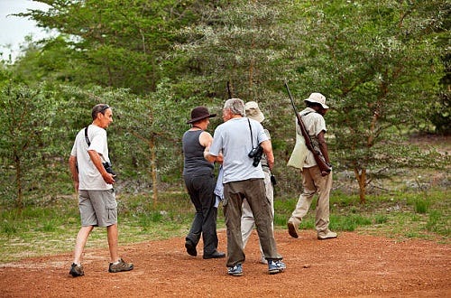 Best Walking safari Tanzania — with armed guard | Medium