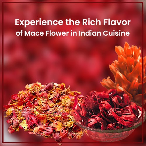 Experience the Rich Flavor of Mace Flower in Indian Cuisine by