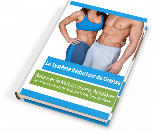 **Le Système Réducteur de Graisses : Une Méthode Efficace pour Perdre du Poids de Manière Durable — Découvrez notre Ebook !**