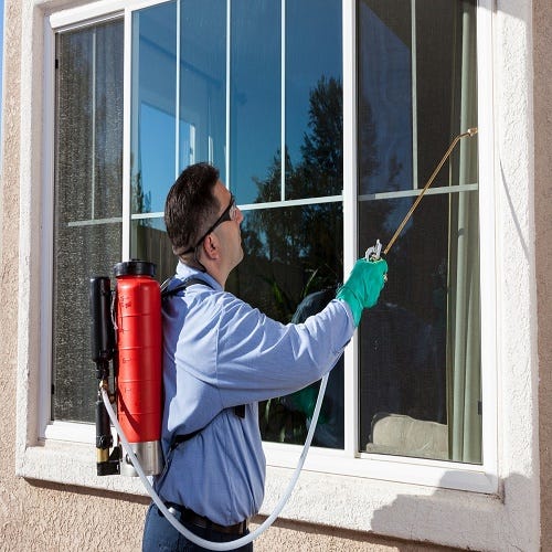 Red Rose City Termite Removal Experts - Red Rose City Termite Removal ...