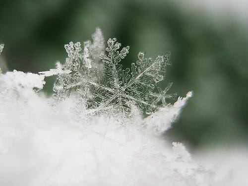 Snow. Light reflects off flakes | by Bailey Short | Medium