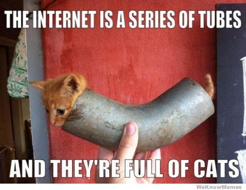 Tubes, cats, and magic — how you use the internet | by Josh Gribbon | Medium