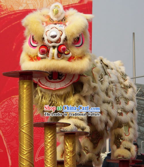 Why Lion Dance Is Becoming Popular Again in North America in 2026