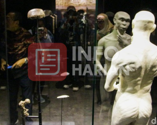 Parlay88 | Fosil Manusia Jawa Akhirnya Pulang ke Indonesia