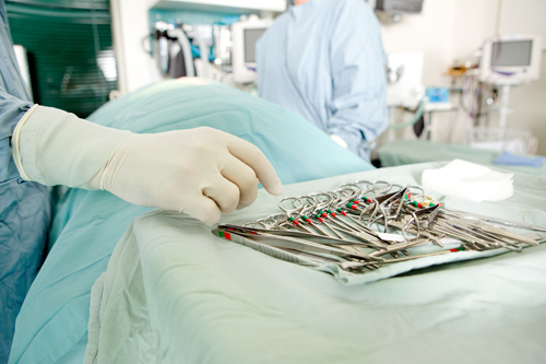 Understanding Pet Soft Tissue Surgery: Procedures, Safety, and Recovery Guide