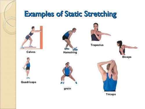 Title: Stretching Techniques. Flexibility and mobility are essential ...