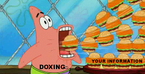 Doxxing Journalists in The Netherlands