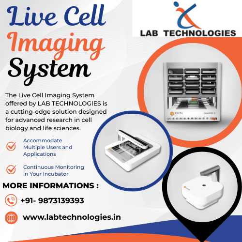 Live Cell Imaging System: A Practical Guide for Better Cell Research | Lab Technologies