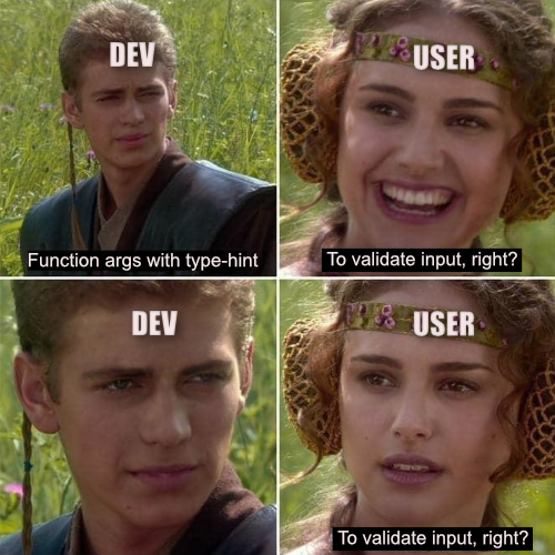 Validate User Input in Python Function | by Aravind Ramalingam | Level ...
