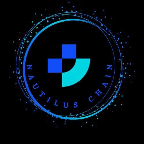 ALL YOU NEED TO KNOW ABOUT THE NAUTILUS CHAIN by Constantine Medium