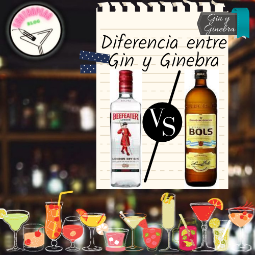 Diferencia entre gin y ginebra. El segundo sábado de junio es el Día… | by  Enotrópeas Blog | Medium