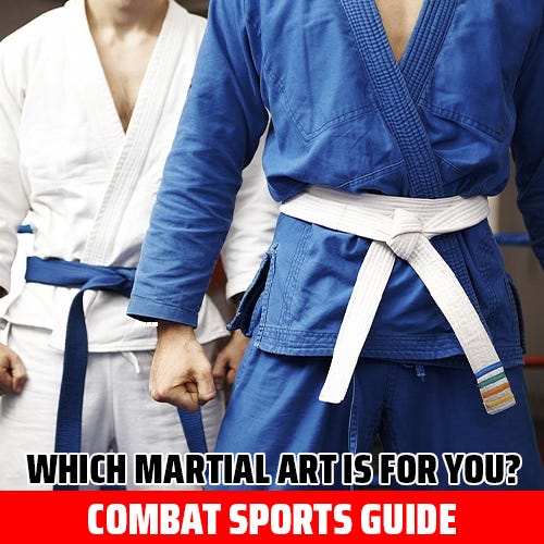 Combat Sports Guide Which martial art is for you? Medium