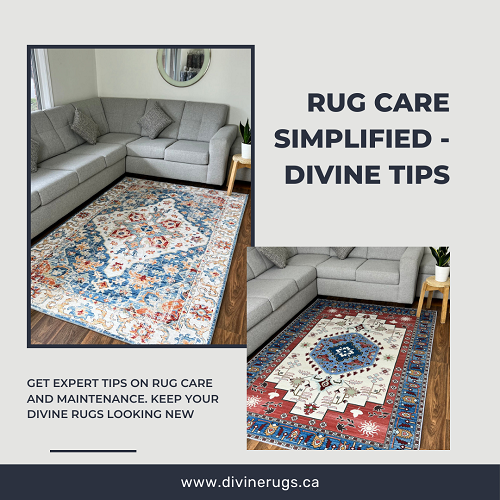 Area Rugs Brampton Romangilbert Medium