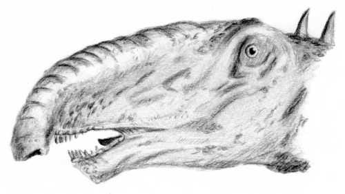 Arthur Weasley’s illustration of a diplodocus with a short trunk (image: wikimedia). This is one of four possible interpretations that he illustrated.