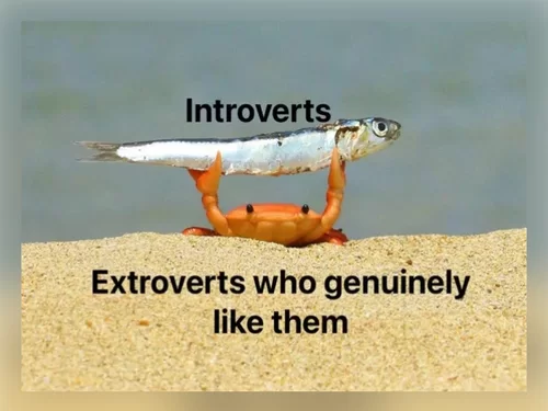 20 Memes That Show What Happens When An Extrovert Meets An Introvert ...